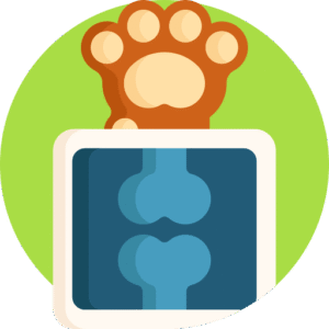Radiologia Veterinária